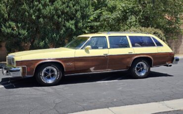 Oldsmobile-Vista-Cruiser-1977-1