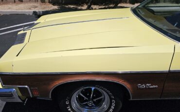 Oldsmobile-Vista-Cruiser-1977-10