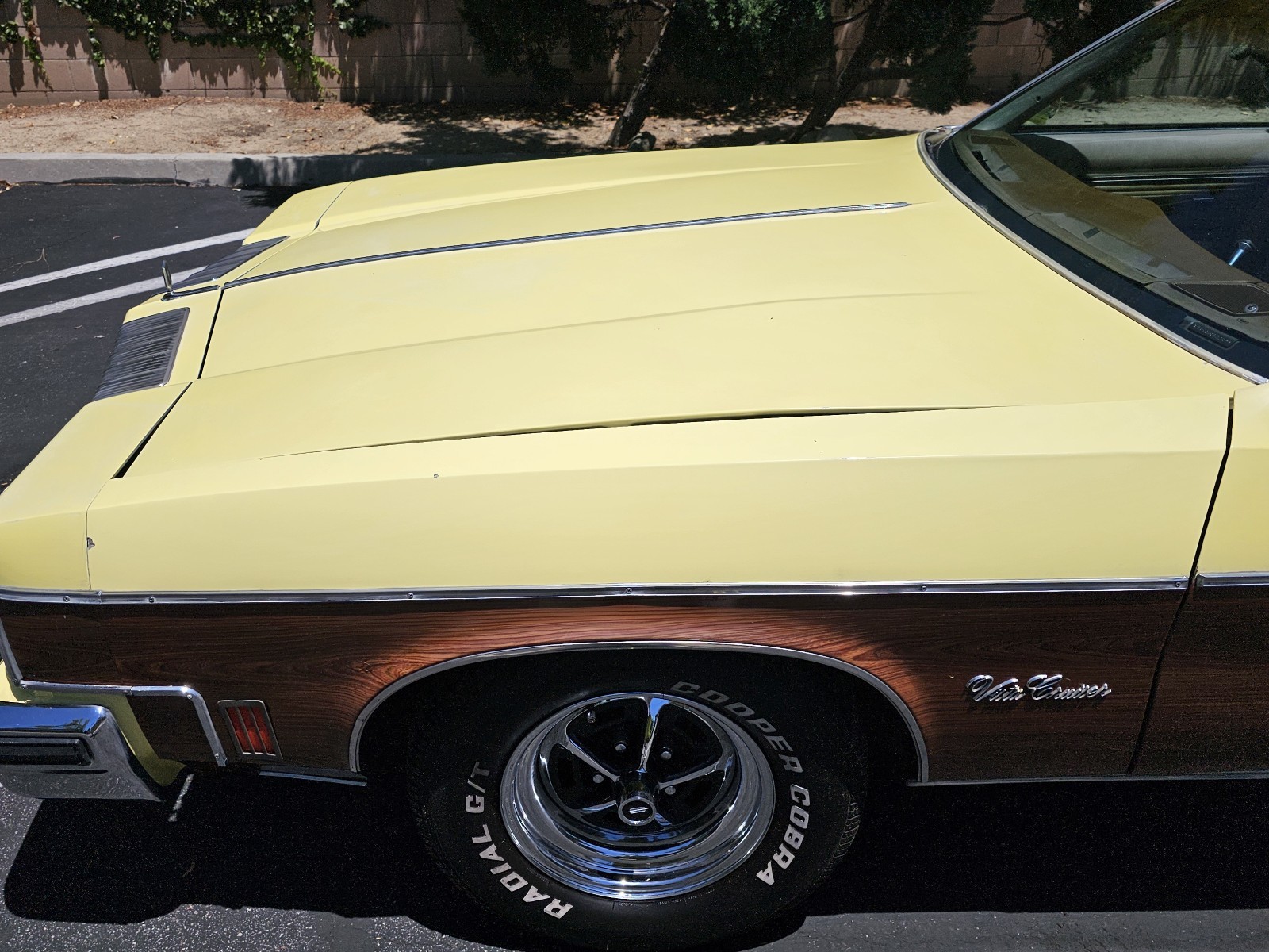 Oldsmobile-Vista-Cruiser-1977-10