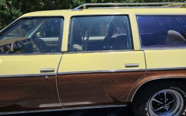 Oldsmobile-Vista-Cruiser-1977-12