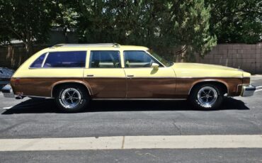 Oldsmobile-Vista-Cruiser-1977-18
