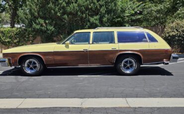Oldsmobile-Vista-Cruiser-1977-2