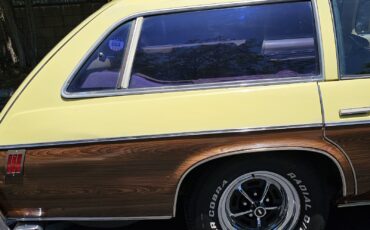 Oldsmobile-Vista-Cruiser-1977-22