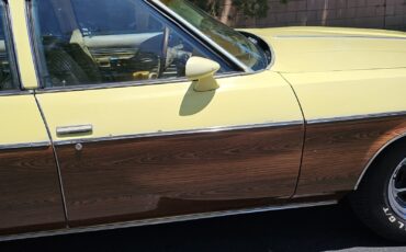 Oldsmobile-Vista-Cruiser-1977-24