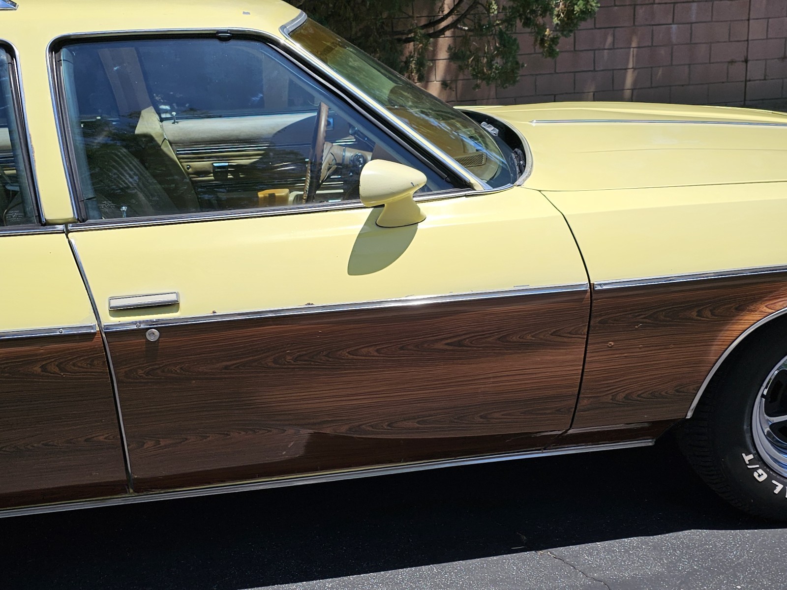 Oldsmobile-Vista-Cruiser-1977-24