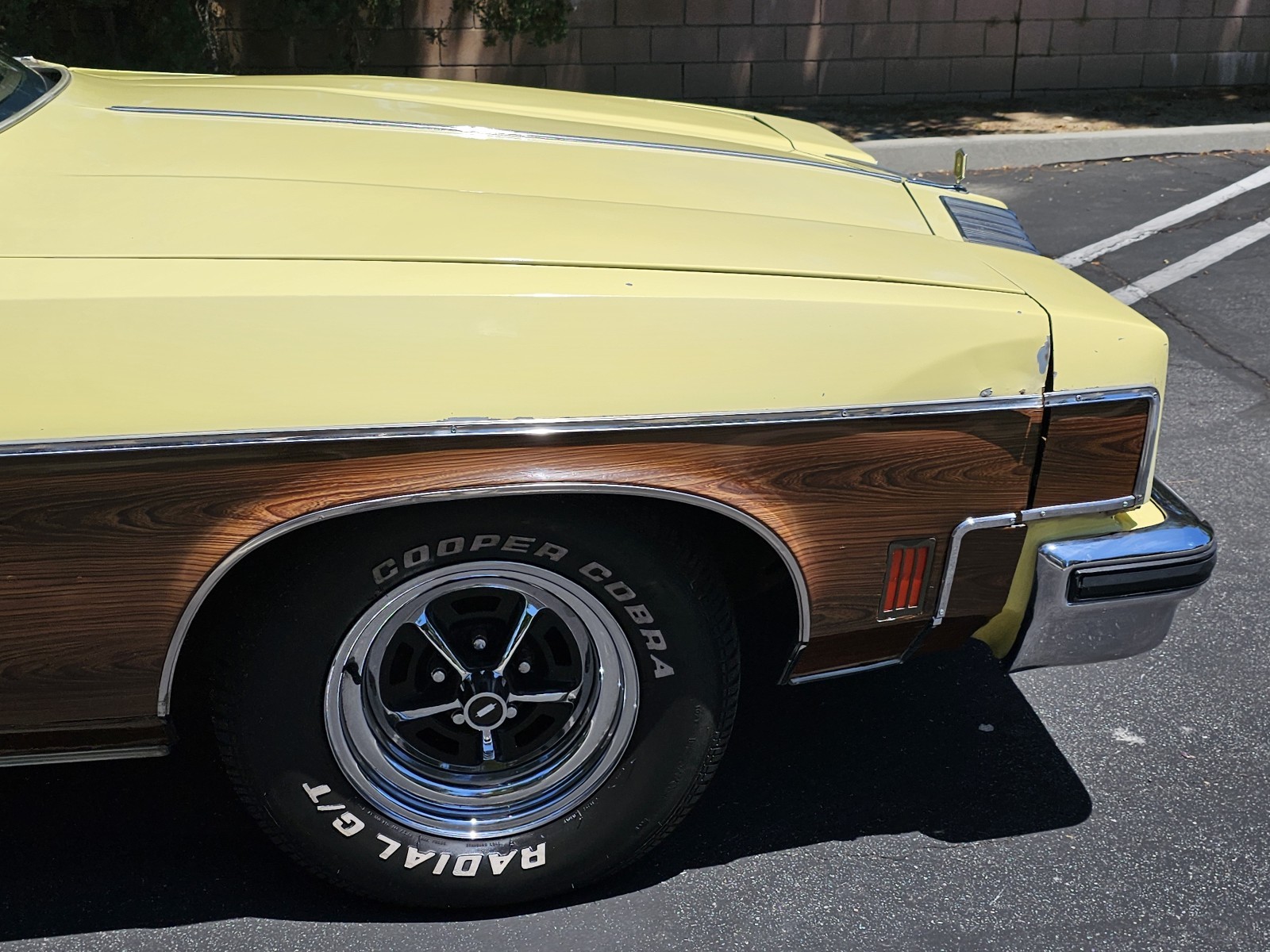 Oldsmobile-Vista-Cruiser-1977-25