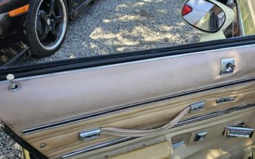 Oldsmobile-Vista-Cruiser-1977-28