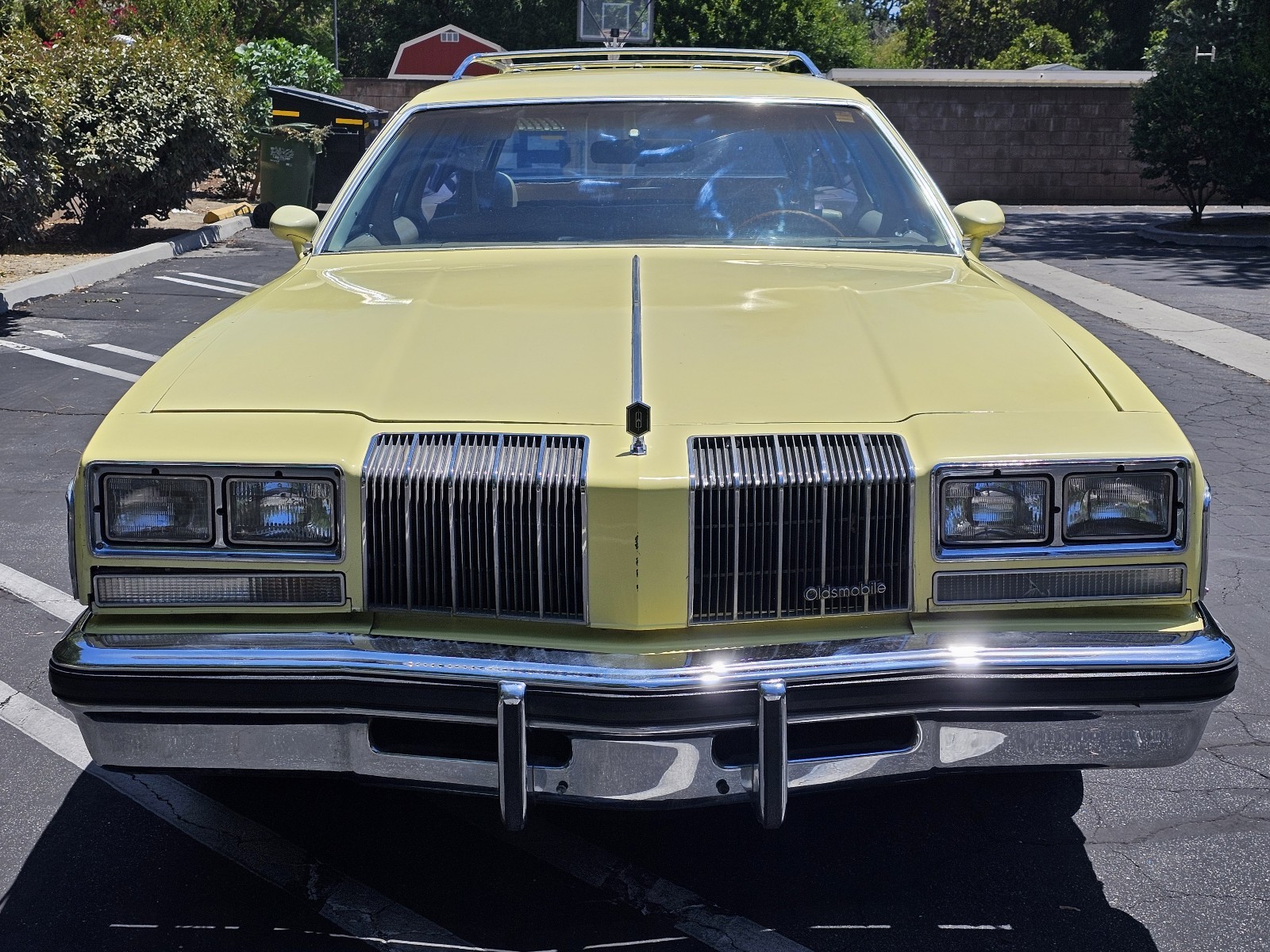 Oldsmobile-Vista-Cruiser-1977-6