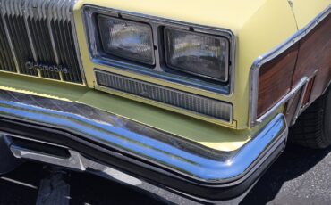 Oldsmobile-Vista-Cruiser-1977-7