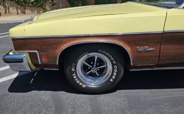 Oldsmobile-Vista-Cruiser-1977-8