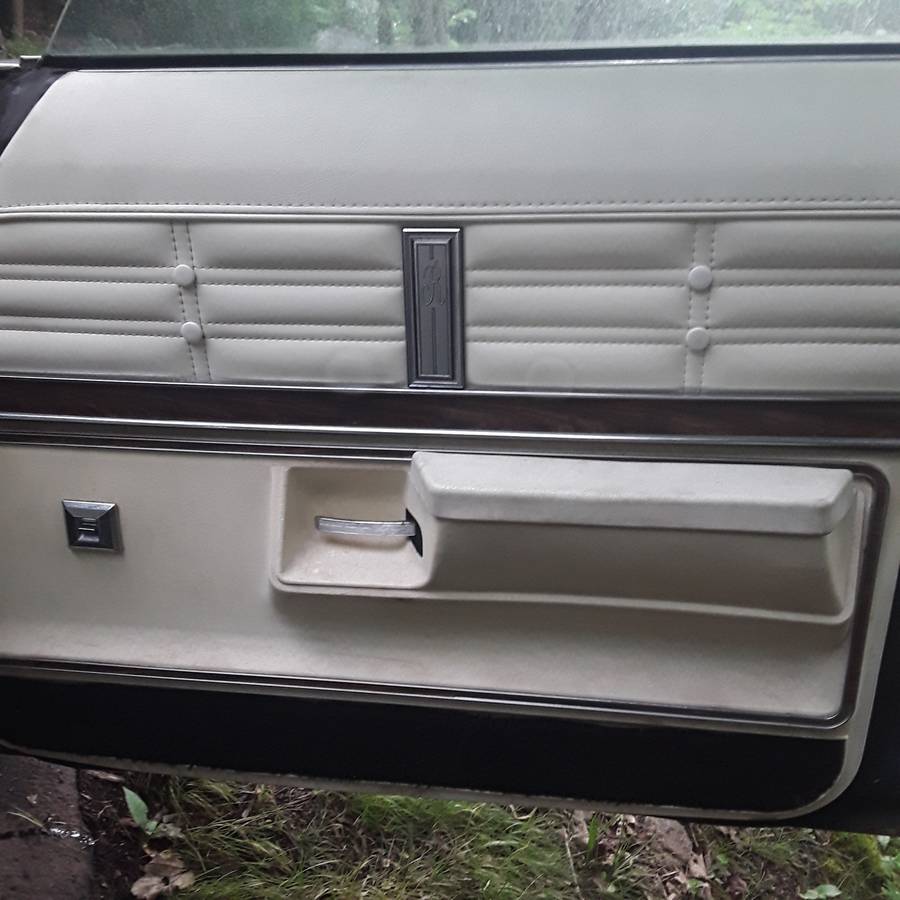 Oldsmobile-delta-88-royale-1976-blue-3