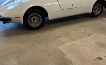 Other-Makes-1980-Coupe