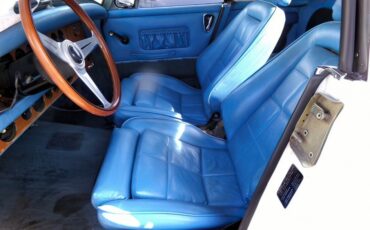 Other-Makes-Roadster-1978-Convertible-11