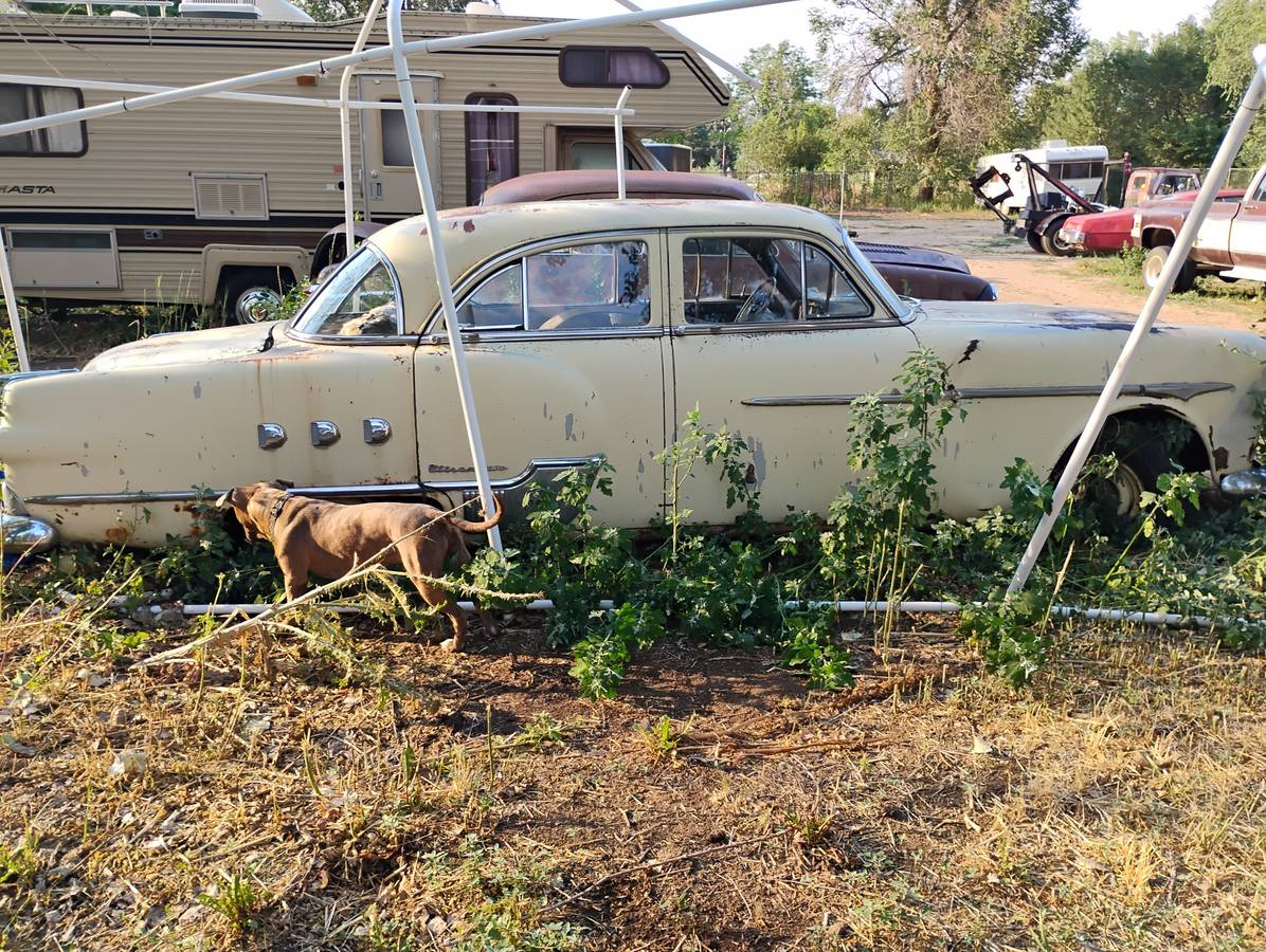 Packard-1951-yellow