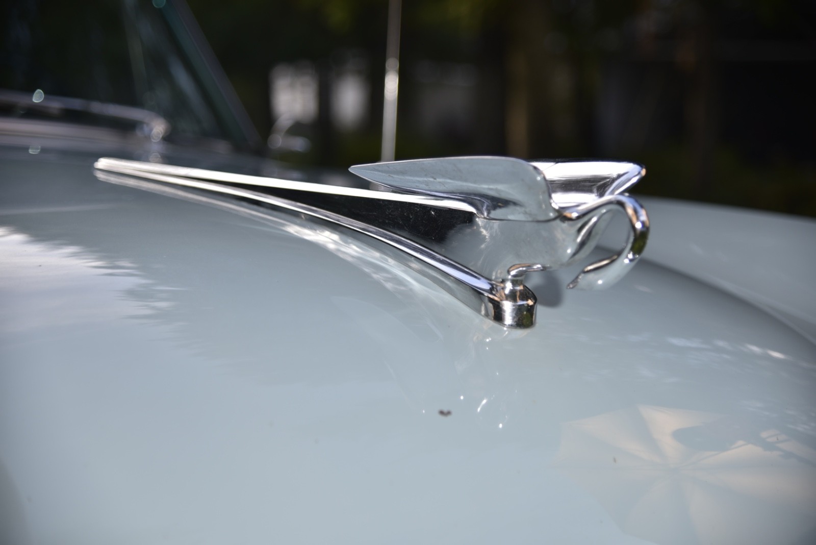 Packard-1953-15