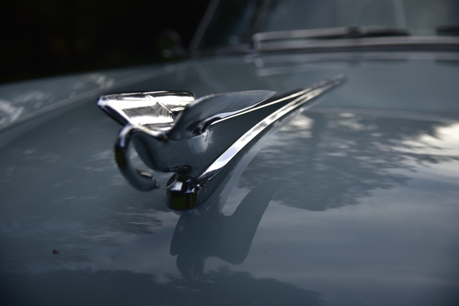 Packard-1953-6