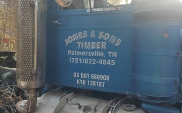 Peterbilt-359-diesel-1971-blue-5