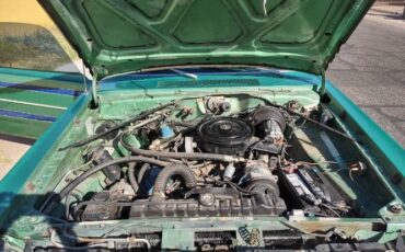 Plymouth-Duster-1975-Green-3