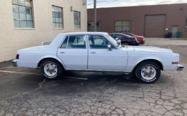 Plymouth-Gran-fury-1989-12