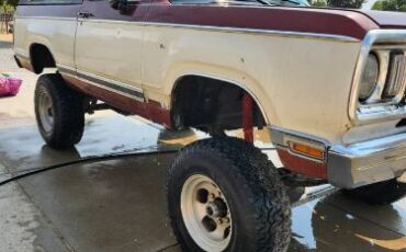 Plymouth-Other-1977-8