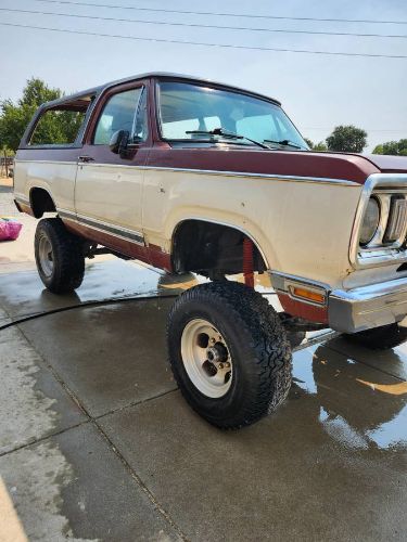 Plymouth-Other-1977-8