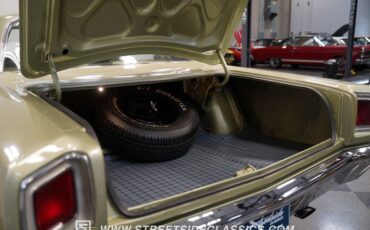 Plymouth-Road-runner-1969-Forest-Green-Metalli-Green-29