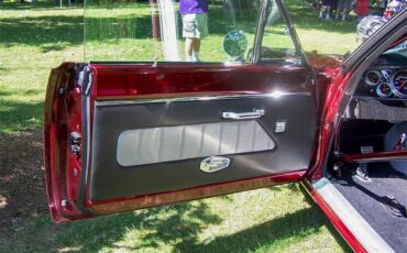 Plymouth-Road-runner-1970-Candy-Brandy-Wine-Black-and-Grey-14