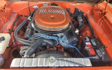 Plymouth-Road-runner-1970-Citrus-orange-White-2