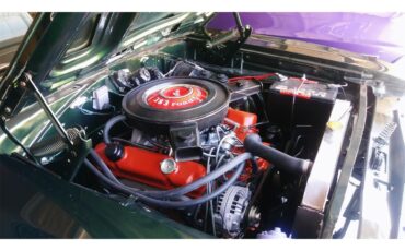 Plymouth-Road-runner-1970-Ivy-Green-White-35