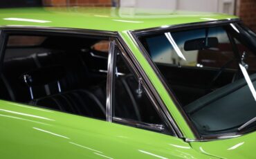 Plymouth-Road-runner-1970-Limelight-Black-29