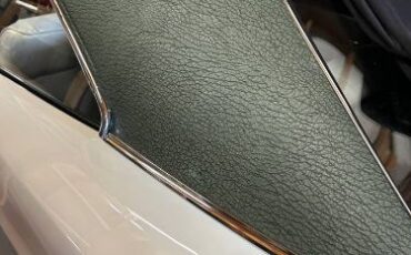 Plymouth-Roadrunner-1968-WhiteGreen-Vinyl-To-White-11