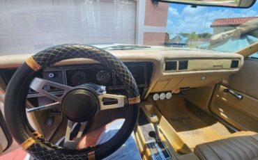 Plymouth-Roadrunner-1975-13