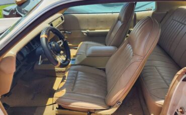 Plymouth-Roadrunner-1975-14