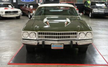 Plymouth-Satellite-Sebring-Plus-1973-Coupe-8