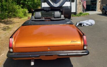 Plymouth-Valiant-3.7-1964-Convertible-11