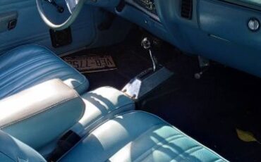 Plymouth-Volare-1978-3
