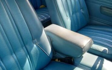 Plymouth-Volare-1978-4
