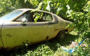 Plymouth-road-runner-1973-yellow-1