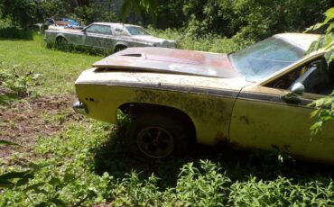Plymouth-road-runner-1973-yellow-2