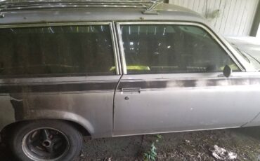Pontiac-Astre-wagon-1977-silver-3