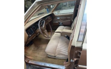 Pontiac-Bonneville-1979-BronzeGold-Neutral-4