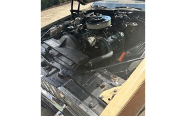Pontiac-Bonneville-1979-BronzeGold-Neutral-8