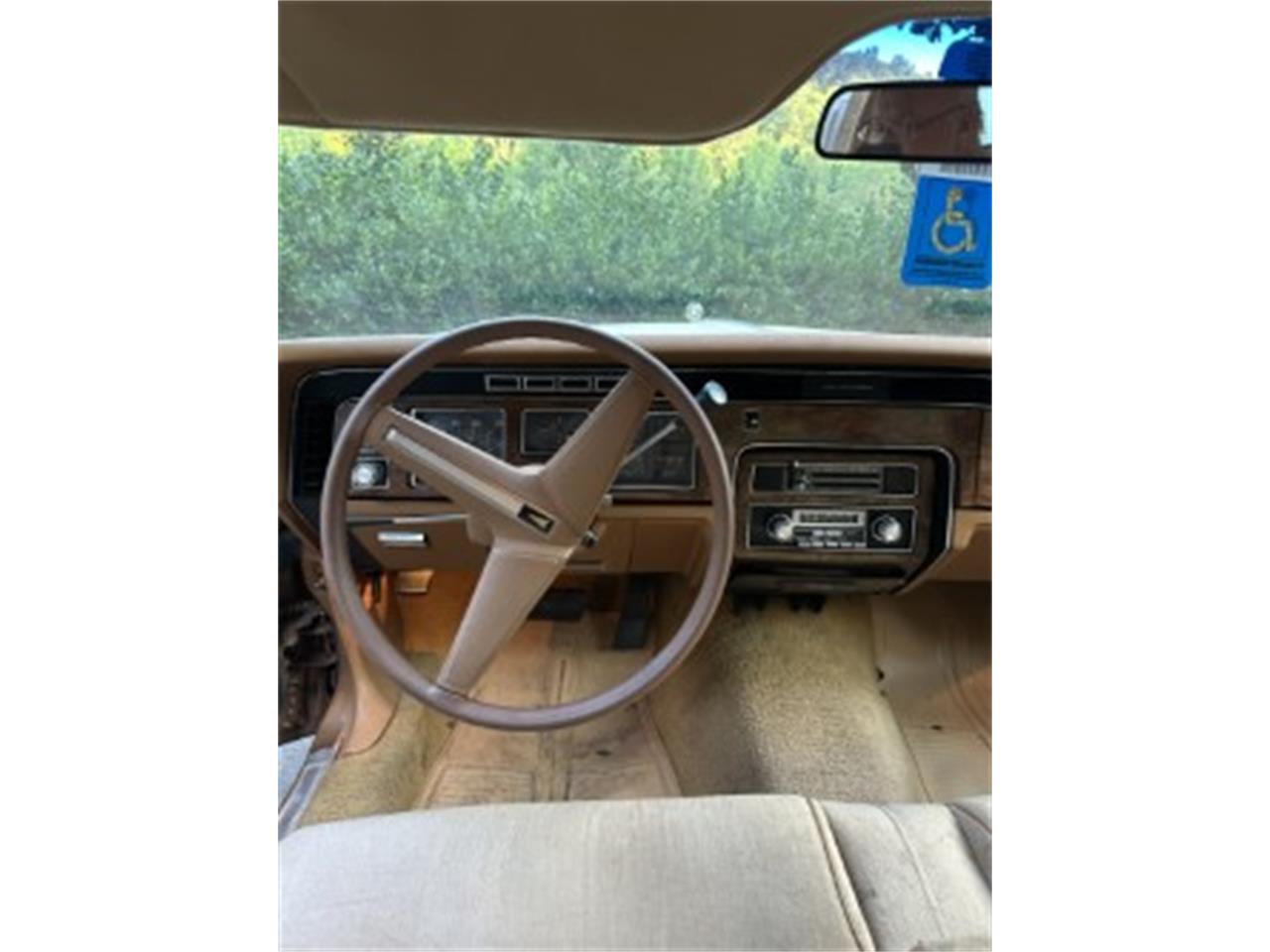 Pontiac-Bonneville-1979-BronzeGold-Neutral-9
