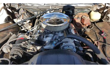 Pontiac-Catalina-1971-WhiteGreen-Pearl-Green-14