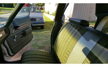 Pontiac-Catalina-1971-WhiteGreen-Pearl-Green-16