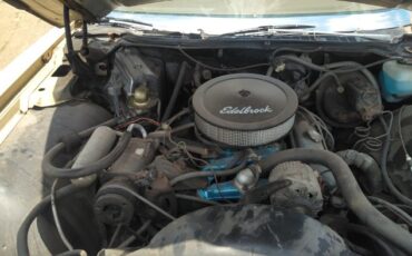 Pontiac-Catalina-1976-12