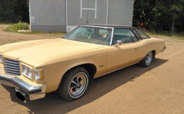 Pontiac-Catalina-1976-13