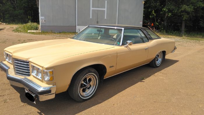 Pontiac-Catalina-1976-13