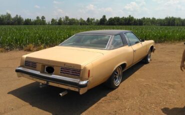 Pontiac-Catalina-1976-2