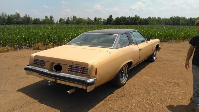 Pontiac-Catalina-1976-2